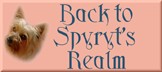 Back to Spyryt's Realm