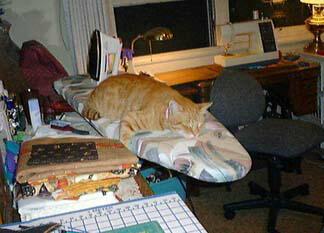 cody.jpg (53297 bytes)